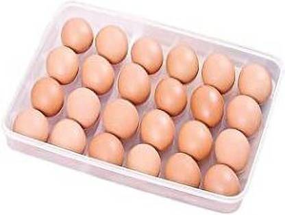 Coozico Glass Egg Container  - 2 dozen