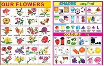 SATYAM trader chart01 Pocket Chart