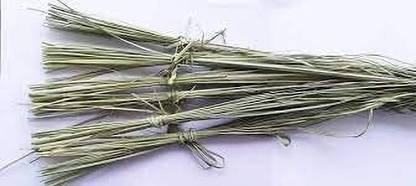 PMW Dry Natural Sacred Kusha Darbha Grass - Pack of 2 PTFE (Non-stick)
