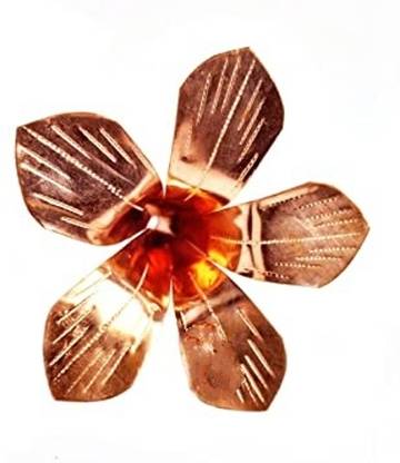 srijan 100% Pure Amra Pallav/Aam patta/Mango Leaves for Puja Copper