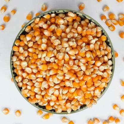 FreshTrain Popcorn Seeds | Big Size Pop Corn Kernels | Makki | Makka | Makai (100% Popping) Soft Popcorn