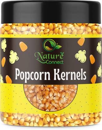 NATURE CONNECT Popcorn Kernel Seeds | Unpopped Corn Raw Popcorn Kernels| Jar Pack Popcorn Popcorn