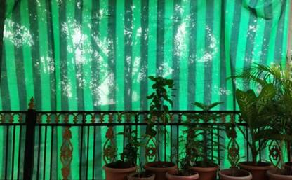 Buildingshop UV Black & Green Net 75% Sun/Water Block - (3 Meter(10 Ft) X 3 Meter(10 Ft)) Portable Green House