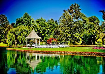 Beautiful backgrounds poster Multicolor Photo Paper Print Poster Photographic Paper
