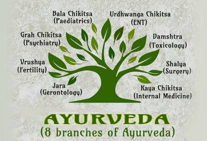 Poster Doctors Poster 8 Branches Of Ayurveda Wall Poster sl1579 (13x19 Inches, Matte Paper, Multicolor) Fine Art Print