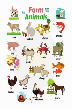 Animals Name Chart Poster with Gloss Lamination Paper Print