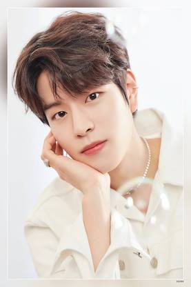 Hd Seungmin Stray Kids Any Back Door Ex Kpop Stay Straykids Stz Matte Finish Poster Paper Print