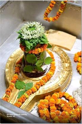 Kashi Vishwanath Mandir Wall Poster (12 x 18 inch), Famous Hindu Temples Wall Decor, Kashi Vishwanath Posters, Kashi Vishwanath Mandir Photos, Hindu Gods Photos, Hindu Goddess Photos, Hindu Mandir Posters (Kashi Vishwanath Mandir, Varanasi (No. 148)) Paper Print