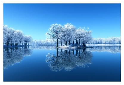Wall Poster (Ice trees,Surface Covering Area - 24 x 18 Inch) Paper Print