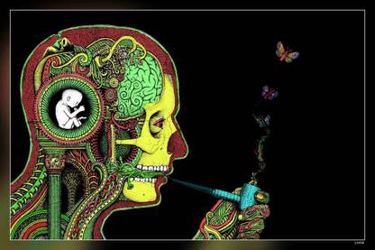 Anatomy Art Butterfly Dark Matte Finish Poster Paper Print