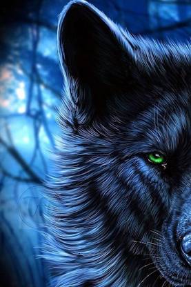 Wolf Poster | Wolf Posters for Room | Unframed | With Self Adhesive Tape Paper Print