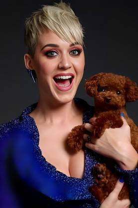 Katy Perry Poster for Room Wall Decoration, Size - 12 X 18 inches || EB ART 1158 Paper Print