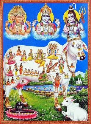 R Enterprise Hindu Religious Kamdhenu Cow with Calf || Brahma Vishnu Mahesh/Shiva Giving Blessing || Unframed Wall Poster (300 GSM Paper, 12 x 18 inch) (White) Photographic Paper