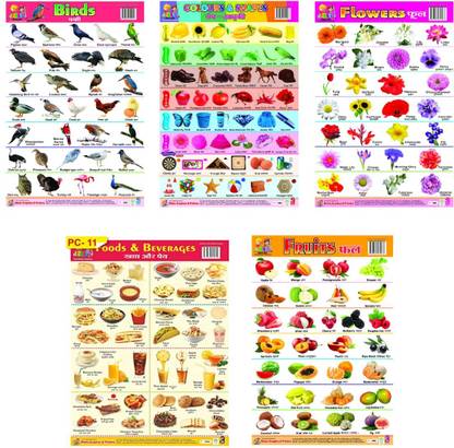 Combo of 5 Learning Charts Birds | Color & Shapes | Flowers | Food & Beverages | Fruits Fine Art Print