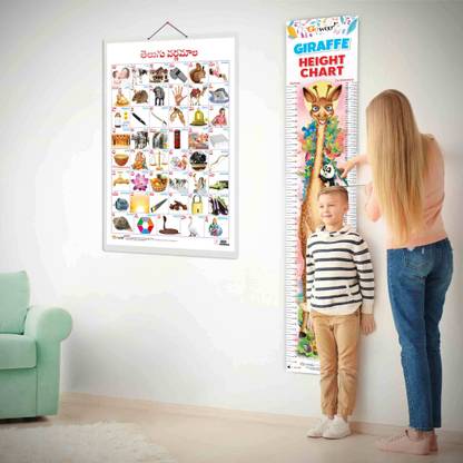 Telugu Alphabet and GIRAFFE HEIGHT CHART | Set of 2 chart | Exploring Telugu Alphabet and Giraffe Heights chart Combo Paper Print