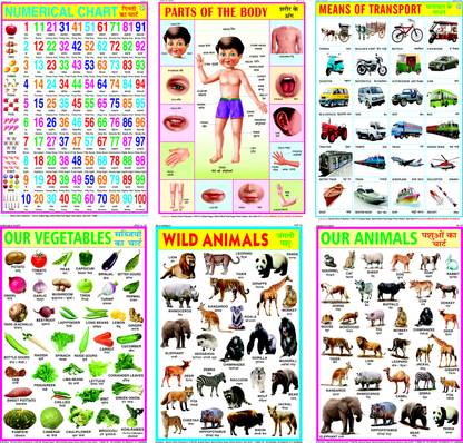 Educational Charts Set for Kids (Pack of 6) for Kids' Development, Essential Learning Charts Paper Print