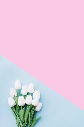 Flowerish Art Poster for Room Wall Decoration, Size - 12 X 18 inches || VE EB ART 9669 Paper Print