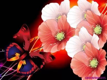 Titli Insect butterfly poster & Titli POSTERS, Dragonfly Poster, Insects Poster ...