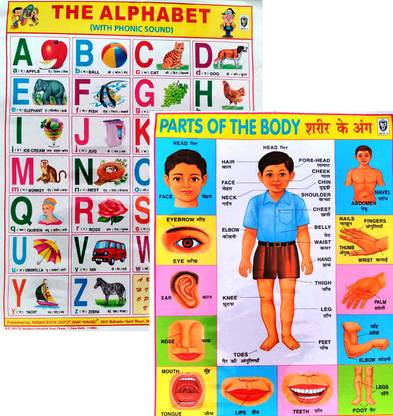 Combo Pack: ABC Alphabet Learning Chart + Human Body Parts Chart for Kids (Durable & Laminated) Photographic Paper