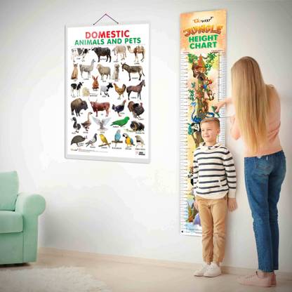 Domestic Animals and Pets chart and JUNGLE HEIGHT CHART | Set of 2 chart | Exploring the set of Pets and animal chart and Jungle Height chart Paper Print