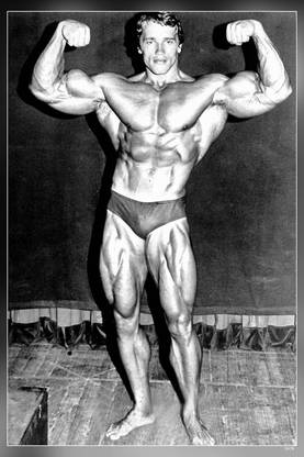Arnold Schwarzenegger -Gym Quotes Matte Finish Poster Paper Print