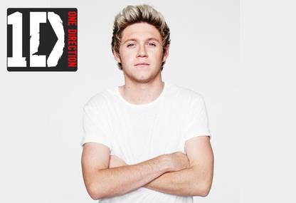 Poster Niall Horan One Direction sl-14820 (LARGE Poster, 36x24 Inches, Banner Media, Multicolor) Fine Art Print