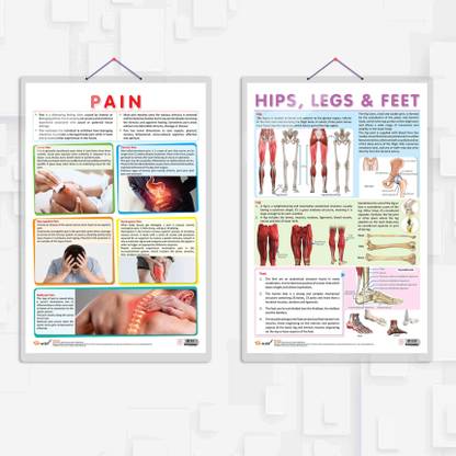 PAIN chart andhand HIPS, LEGS AND FEET chart | combo of 2 Charts | A Journey to Wellness: Understanding Pain and Lower Extremities with Comprehensive Educational Charts Paper Print