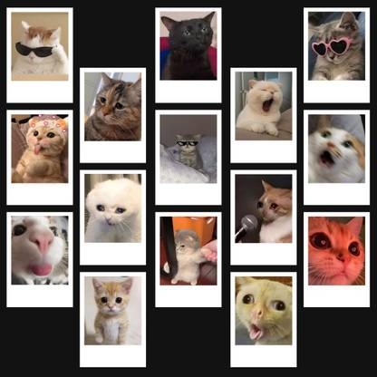 Cat Memes | Cute Cat PFPs Mini Poster Kit (Set of 15) | Cute Cat Memes & Cat PFPs Size (8 x 6 cm) Posters for Phone Accessories, Bedroom, Office, room decoration Paper Print