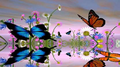 Amazing Butterfly Poster Multicolor Photo Paper Print Poster Photographic Paper