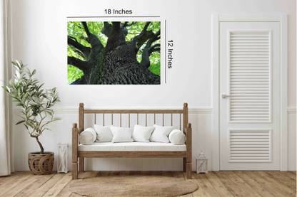 Nature Poster|Dark Tree Trunk Poster|Unframed Wall Poster For Restaurants, Corridors, Living Room|1Pc|Poster For Interior Decoration Paper Print