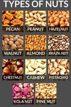 Nuts Chart Poster (Paper, Multicolour, 13X19 Inch) Paper Print
