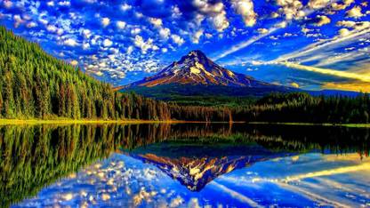 TCS ,Beautiful Wallpaper 3D Clean Display &multiple color . Size 24"x96" 3D Poster