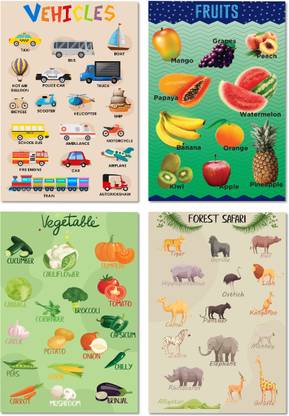 Study Learning Charts| Set of 4- Vehicle, Fruits, Vegetable, Forest Safari With Graphics | Suitable For Home And School Decor Paper Print