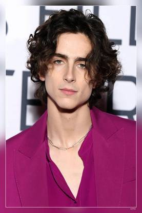 Timothee Chalamet Lil Timmy Tim Timothe Chalamet Matte Finish Poster Paper Print