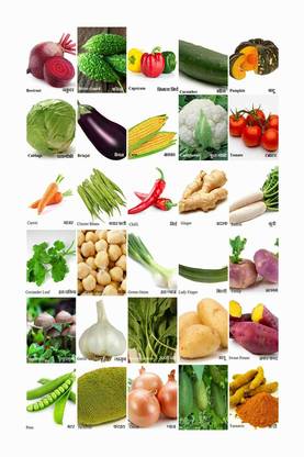 Vegetables Name Chart Poster with Gloss Lamination Paper Print