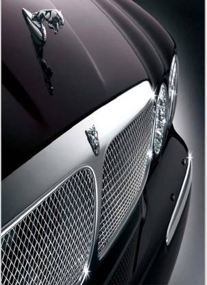 Amazing Jaguar New Car Poster on fine art paper 13x19 Fine Art Print