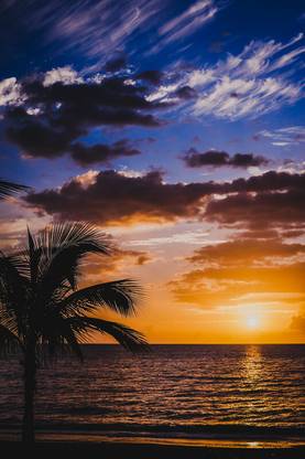 Sunset Horizon Sky Sea Aesthetic View Hd Matte Finish Poster Paper Print