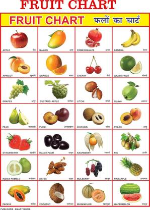 Fruits Chart for Kids Learning | Big Size Educational Wall Chart for ...