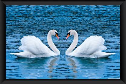 BEAUTIFUL VASTU SWAN FRAME Photographic Paper