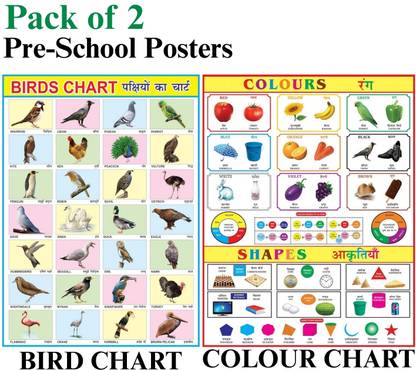 Combo of 2 Chart Birds & Colours, Shapes Chart For Kids | 28x40Inch (70x100cm)| Laminated chart | Waterproof and Non tearable Wall Chart. Paper Print
