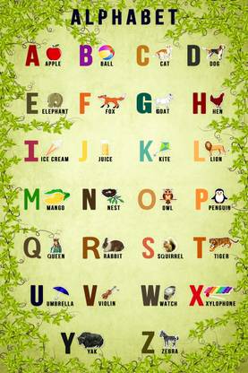 A to Z Paper Paper (12 inch X 18 inch, Rolled) Paper Print