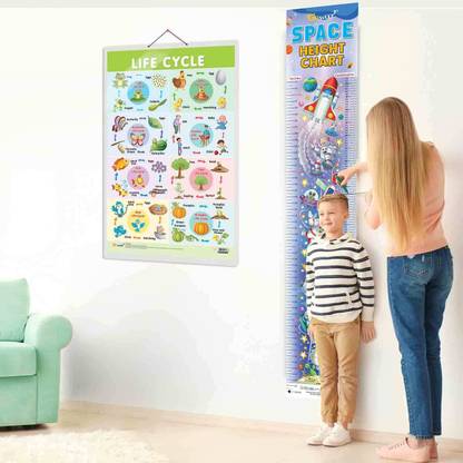 Life Cycle Chart and SPACE HEIGHT CHART | Set of 2 charts 1 Educational + 1 Height Chart | Interactive Combo of Life Cycle Chart and Space Height Chart Combo for Young Explorers Paper Print