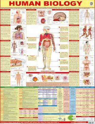 Human Biology Chart Paper Print