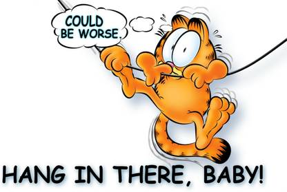 Poster Comics Garfield Cat sl1047 (Wall Poster, 13x19 Inches, Matte, Multicolor) Fine Art Print