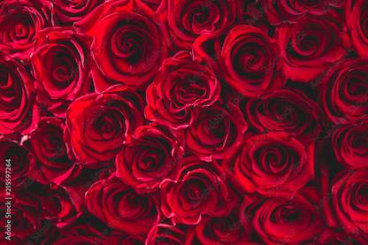 The creative solution beautiful red rose wallpaper with digital print Size 24"x96" Canvas Art