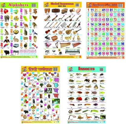 Combo of 5 Learning Charts Alphabet | Hindi Varnmala | Insects | Musical Instruments | Numbers Fine Art Print
