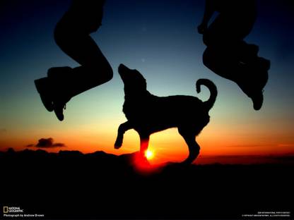 Most Amazing National Geographic Poster Multicolor Photo Paper Print Poster Photographic Paper