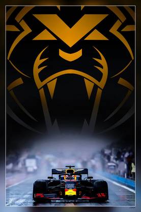Max Verstappen F1 Formula1 Formula One Formula Germany Matte Finish Poster Paper Print