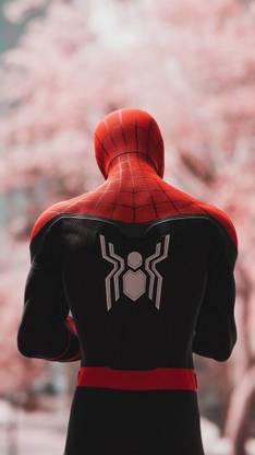 SPIDER MAN Paper Print
