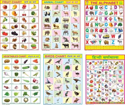 Combo of 6 Fruit Chart, Animal Chart, Shapes&Alphabet, Vegetable, Birds, Hindi Varnmala Paper Print